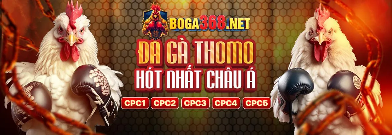Đá Gà Trực Tuyến scv388 app
