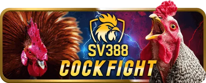 Cá cược bóng rổ scv388 app
